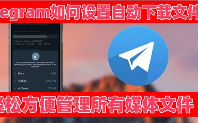 How to set up automatic file download on Telegram